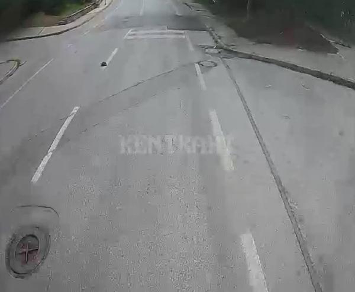 Otobüs şoförü, yolun ortasındaki kaplumbağayı ezilmekten kurtardı
