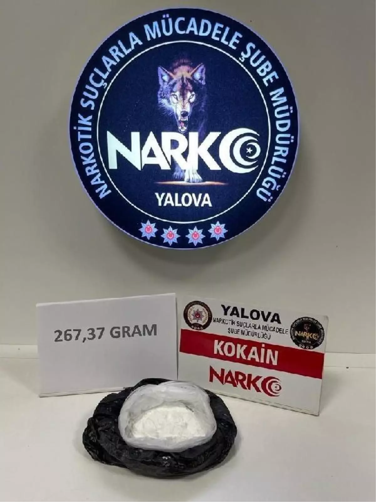 Otomobildeki kokaini narkotik köpeği 'Gölge' buldu