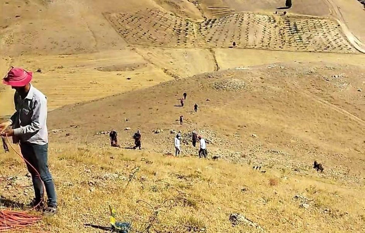 Siirt\'te bir işçiyi akrep soktu