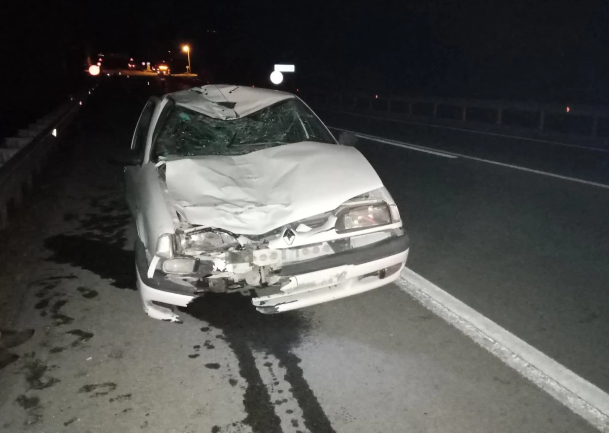 Sinop\'ta otomobilin ineklere çarpması sonucu bir kişi yaralandı