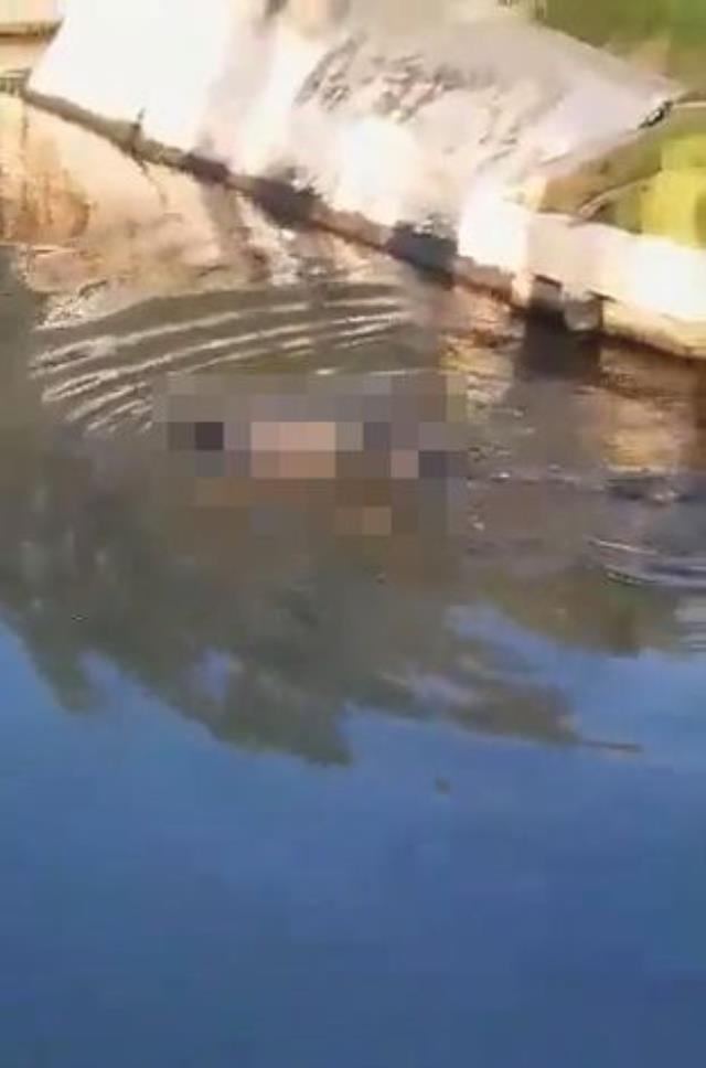 Timsahlı suya girmemesi için yapılan uyarıyı dinlemedi! Önce sessizlik oldu, sonrası korkunç Timsahlı suya girmemesi için yapılan uyarıyı dinlemedi! Önce sessizlik oldu, sonrası korkunç