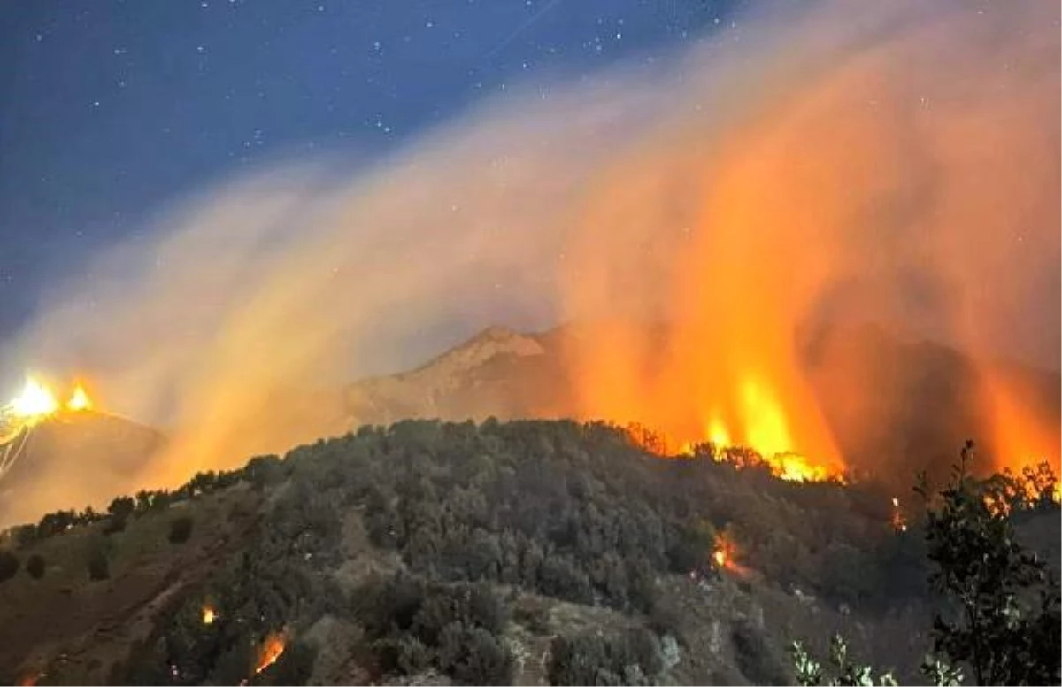 Tunceli\'de Munzur Vadisi Milli Parkı\'nda orman yangını