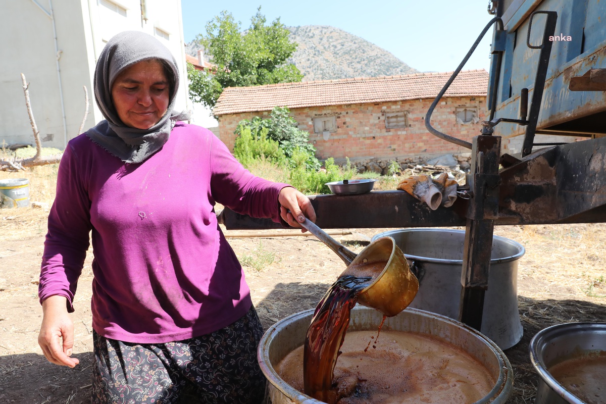 Antalya Büyükşehir\'den İlçelere Üzüm Sıkma Makinesi