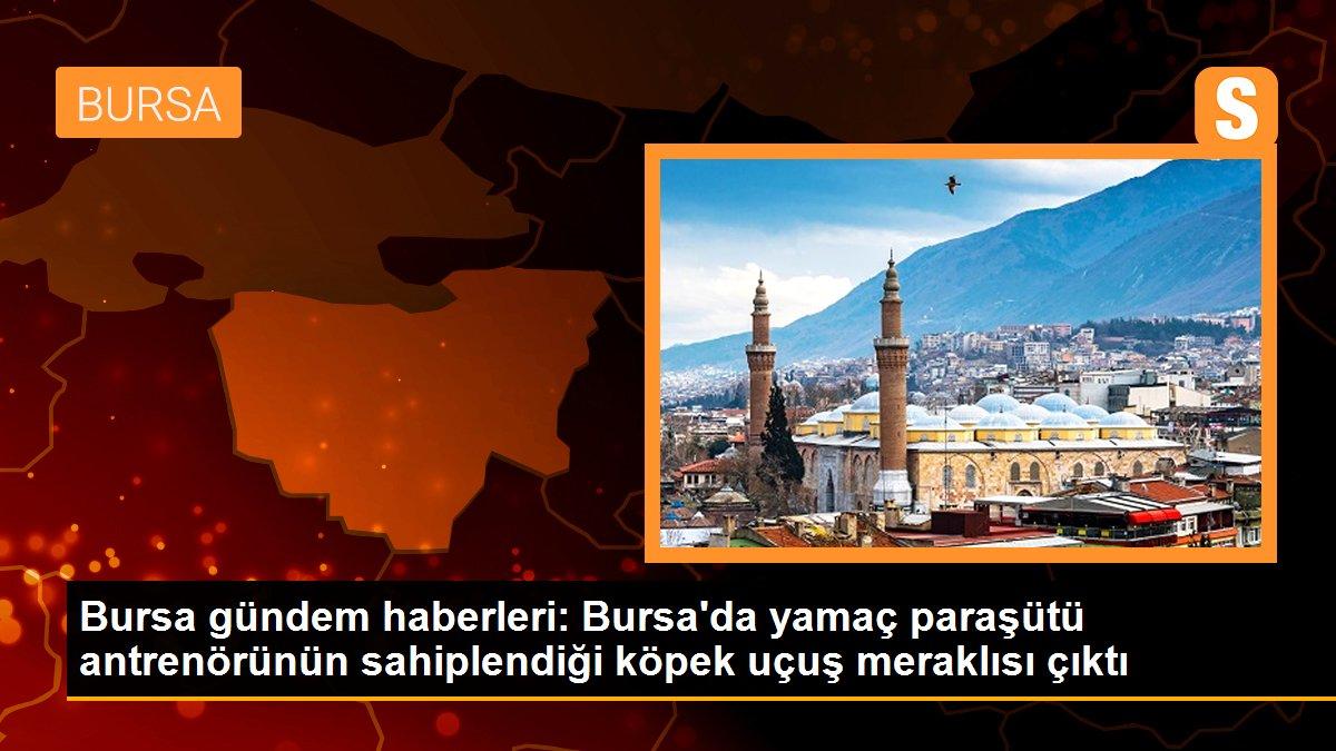 Bursa\'da yamaç paraşütü antrenörünün sahiplendiği köpek uçuş meraklısı çıktı