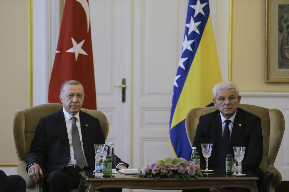 Cumhurbaşkanı Erdoğan, Bosna Hersek Devlet Başkanlığı Konseyi Başkanı Caferoviç\'le görüştü