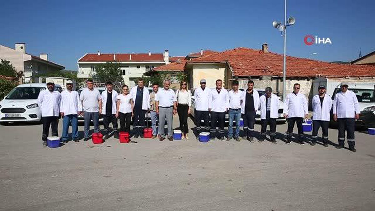 Denizli\'de ölümcül hastalıkla mücadele sürüyor: 2 bin 500 büyükbaş hayvanın ilk doz aşıları tamamlandı
