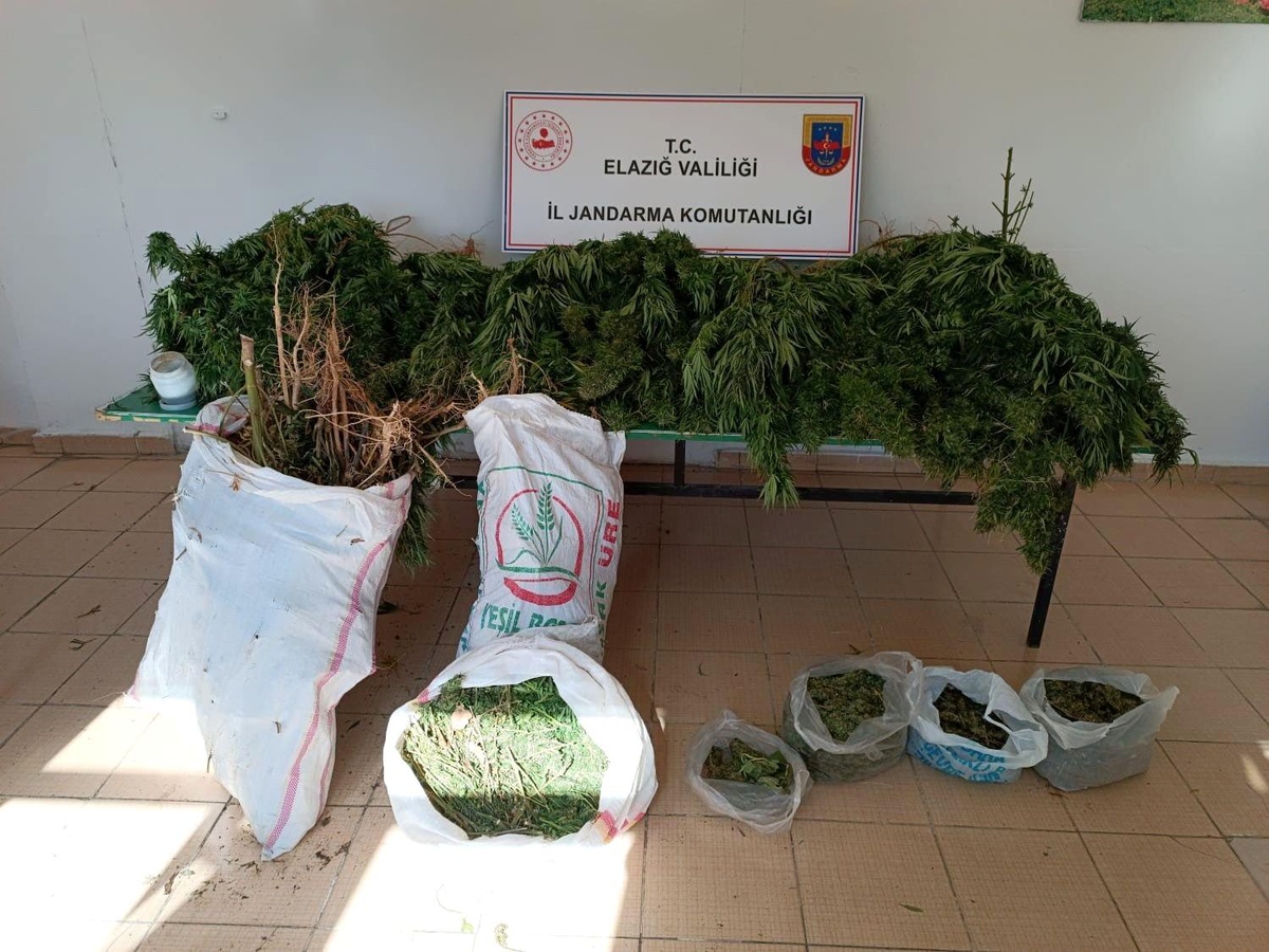 Elazığ\'da 20 kilo esrar ele geçirildi: 1 gözaltı