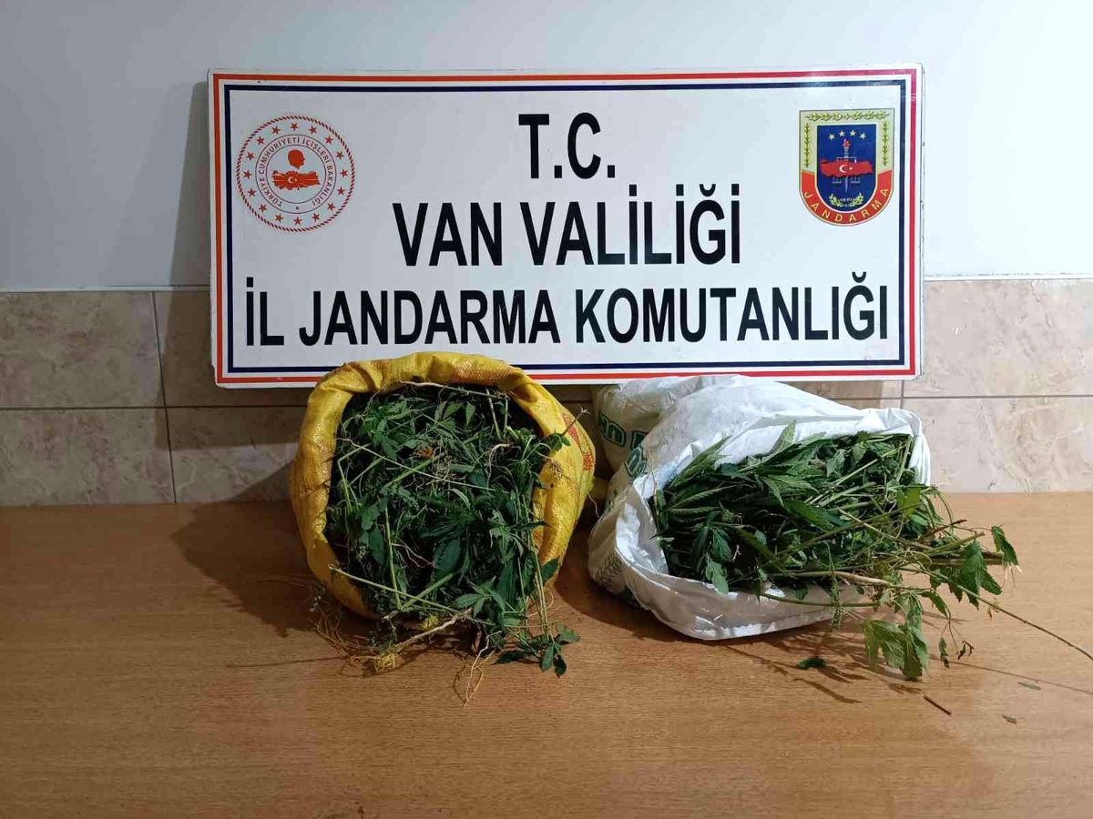 Gürpınar\'da 17 kilo 400 gram kubar esrar ele geçirildi