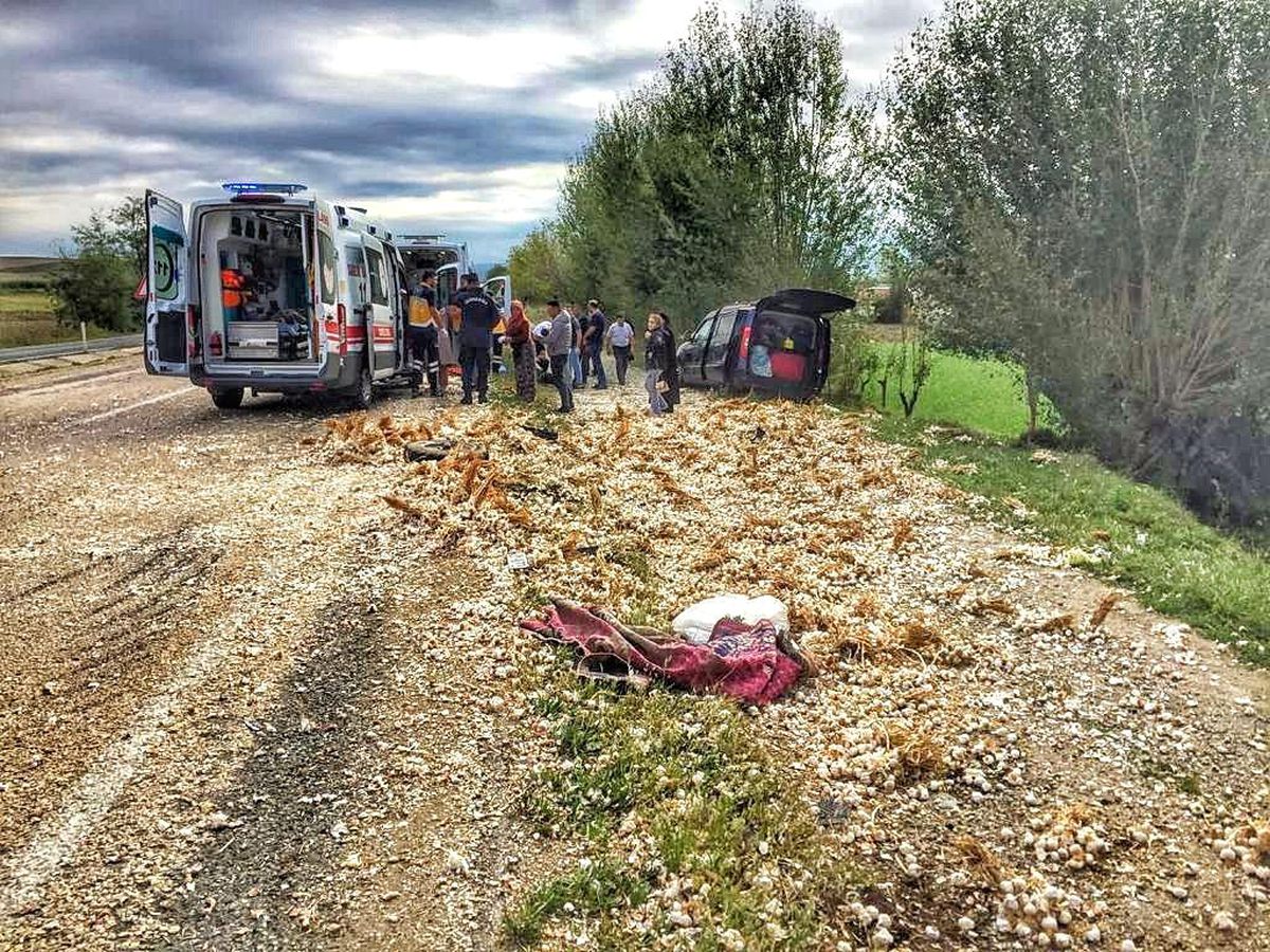 Hafif ticari araç sarımsak yüklü traktöre çarptı: 7 yaralı