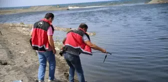Hatay'da balık ölümleri görülmesi üzerine inceleme başlatıldı