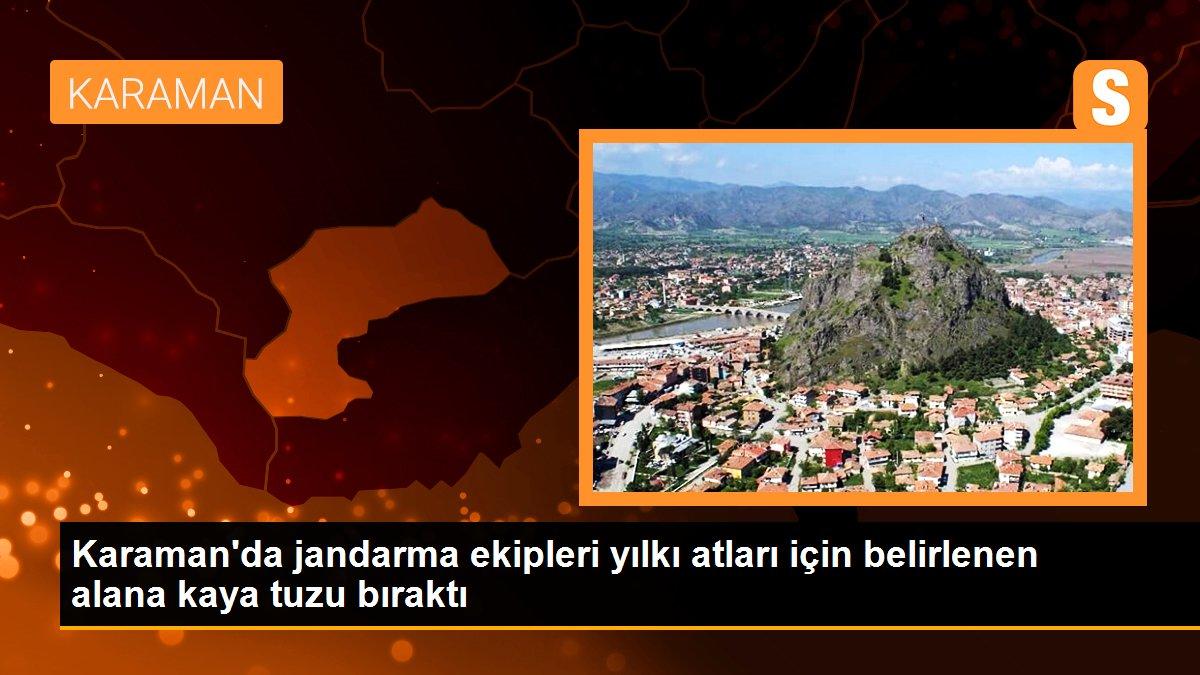 Karaman\'da jandarma ekipleri yılkı atları için belirlenen alana kaya tuzu bıraktı