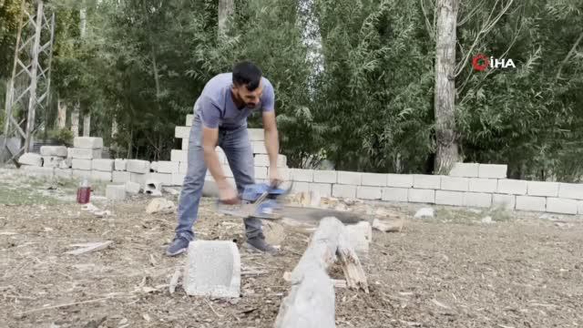 Kuru ağaçlar kışlık yakacak olmak için kesildi