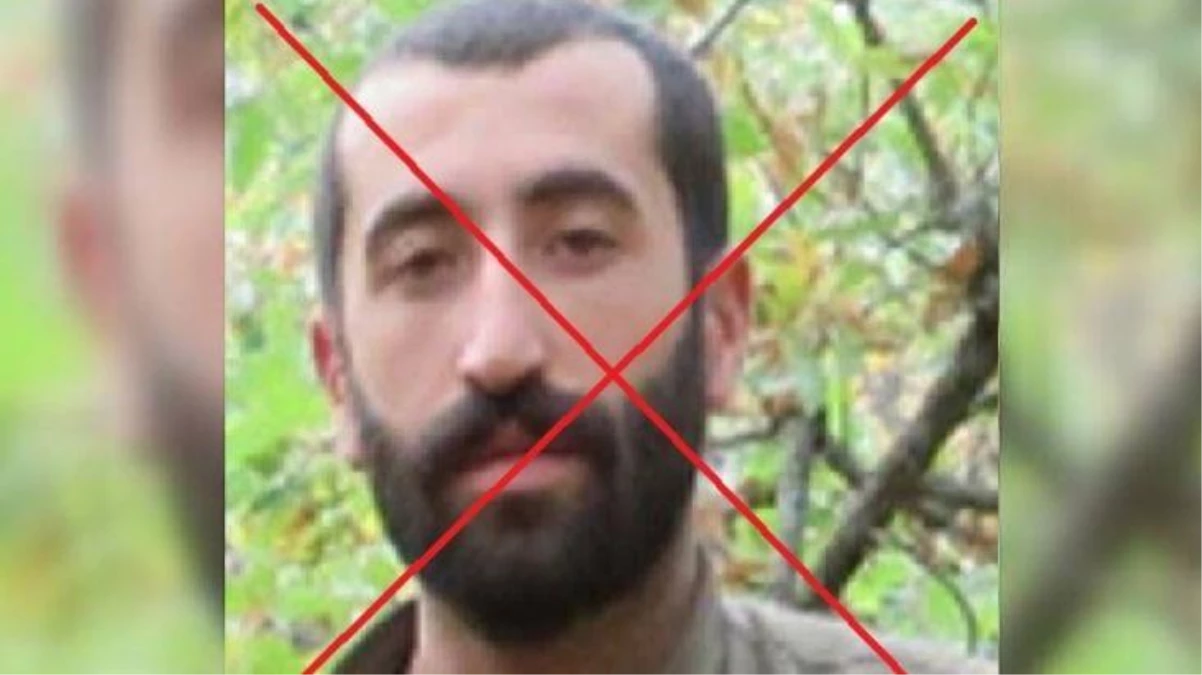 Muhtarı şehit etmişti! İçişleri Bakanlığı: PKK\'nın sözde Tatvan sorumlusu etkisiz hale getirildi