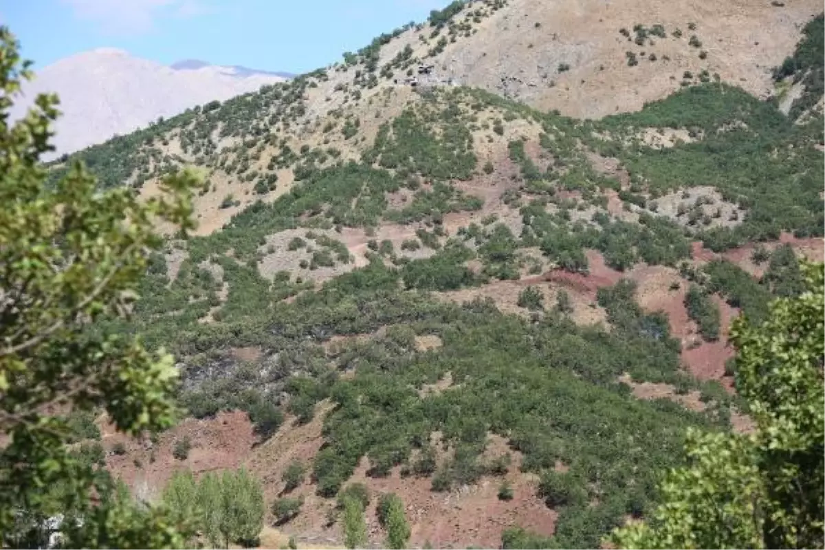 Tunceli\'de, Milli parktaki yangın 12 saat sonra söndürüldü