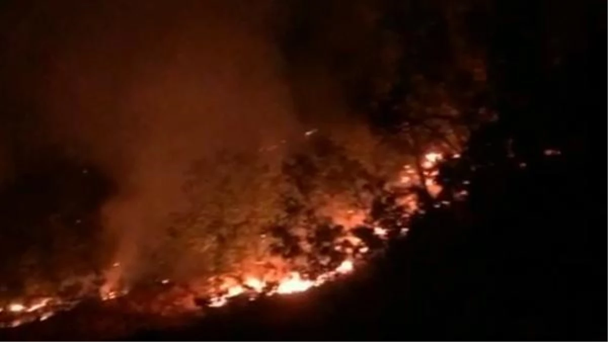Tunceli\'de Munzur Vadisi Milli Parkı\'nda orman yangını (2)