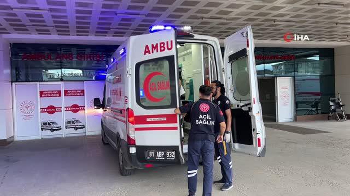 Ukraynalı tır şoförü hastanelik oldu