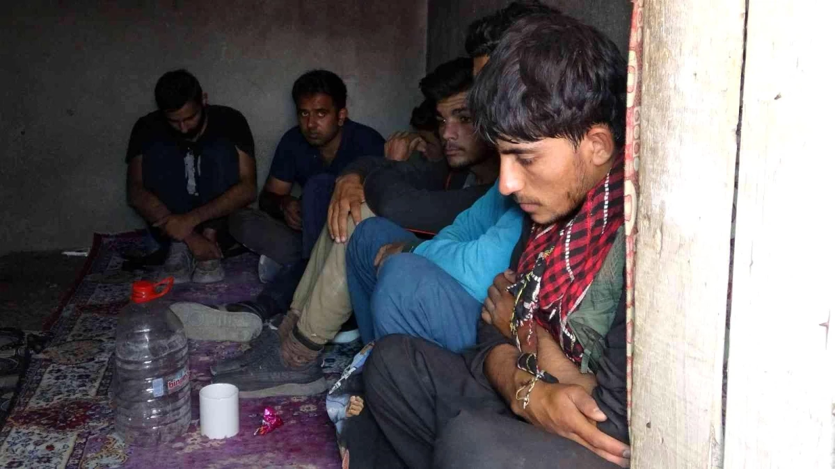 Van\'da kömürlükte 13 göçmen yakalandı