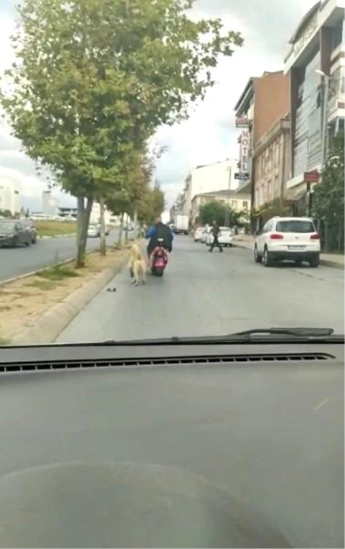 Arnavutköy\'de köpeği motosikletine bağlayarak götüren şahsa tepki