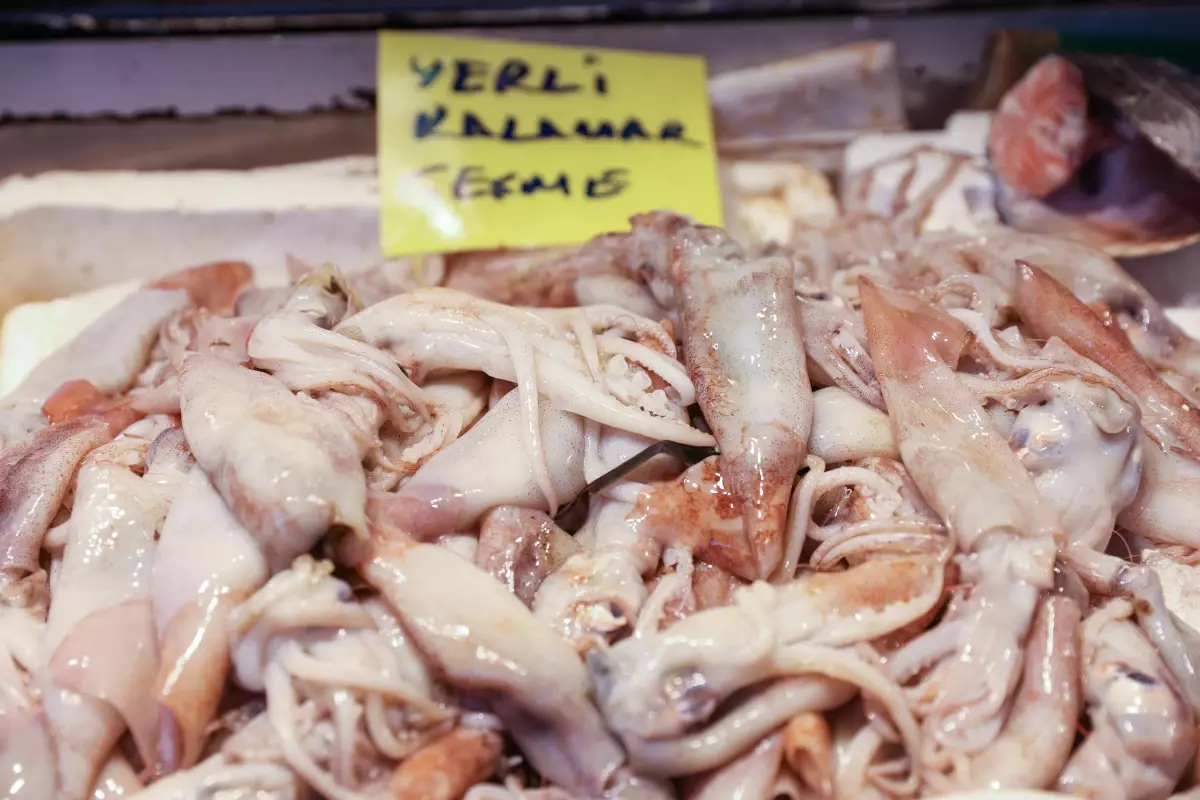 Av sezonunun açılmasıyla balıkçı tezgahlarında çeşit arttı, fiyat düştü