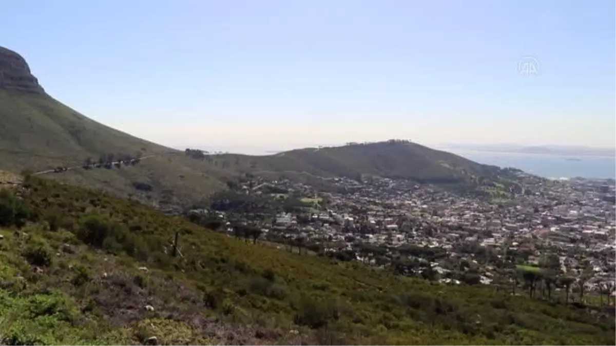 CAPE TOWN - Afrika\'nın güney ucunda bir doğa harikası: Masa Dağı