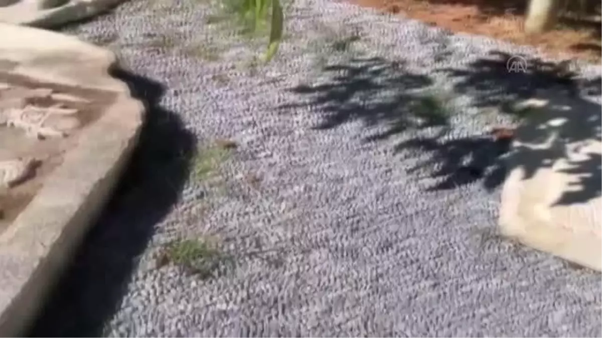 Aydın\'da bir çiftlik evinde büyük boyutlu Roma kabartmaları ele geçirildi