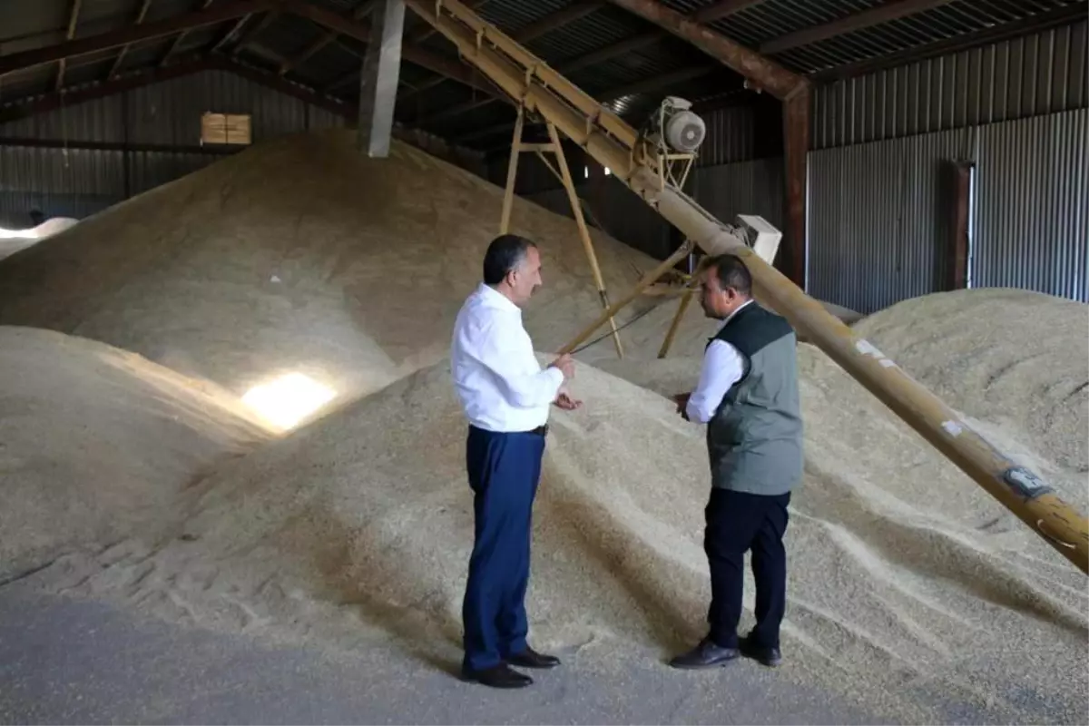 Erciş\'te \'TMO Geçici Alım Merkezi\' açıldı