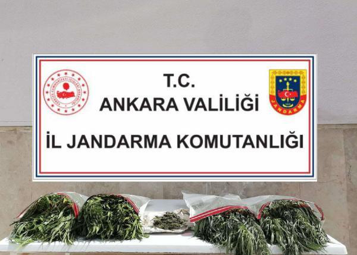 Evinde yasa dışı kenevir yetiştiren şüpheli gözaltına alındı