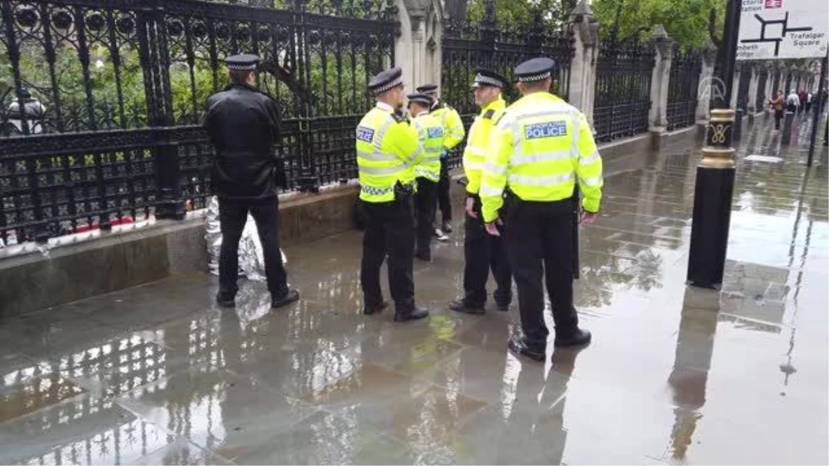 İngiltere\'de hayvan hakları savunucuları parlamento binasına boyalı saldırı düzenledi