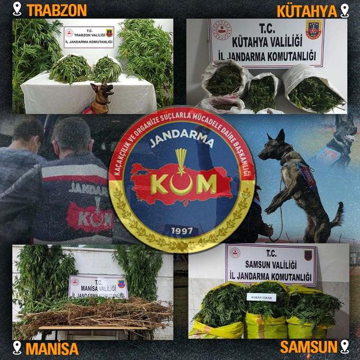 Jandarmadan 4 ilde uyuşturucu operasyonları