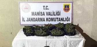 Manisa'da tarlada gömülü 6 kilo esrara 1 tutuklama