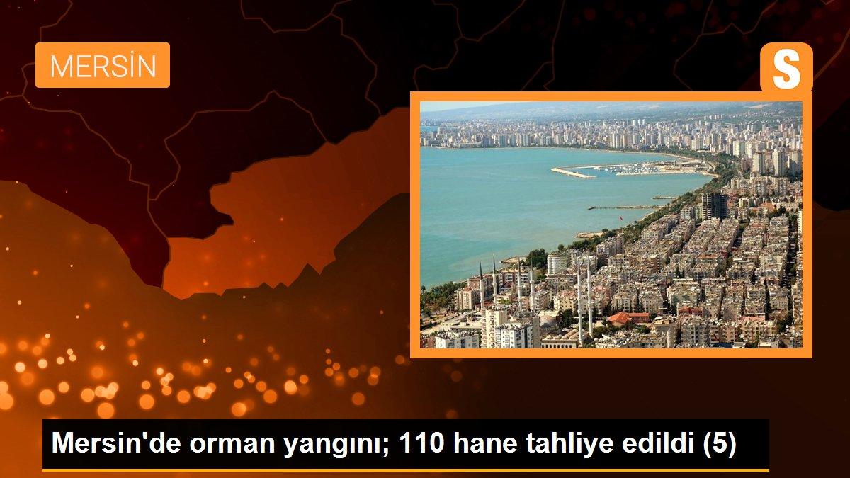 Mersin\'de orman yangını; 110 hane tahliye edildi (5)