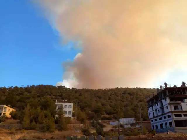 Yaz bitti, kabus bitmedi! Mersin'deki orman yangınına havadan ve karadan müdahale ediliyor