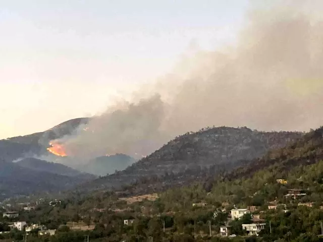 Mersin'deki yangın geceyi aydınlattı! 5 ilden gelen ekipler söndürmeye çalışıyor