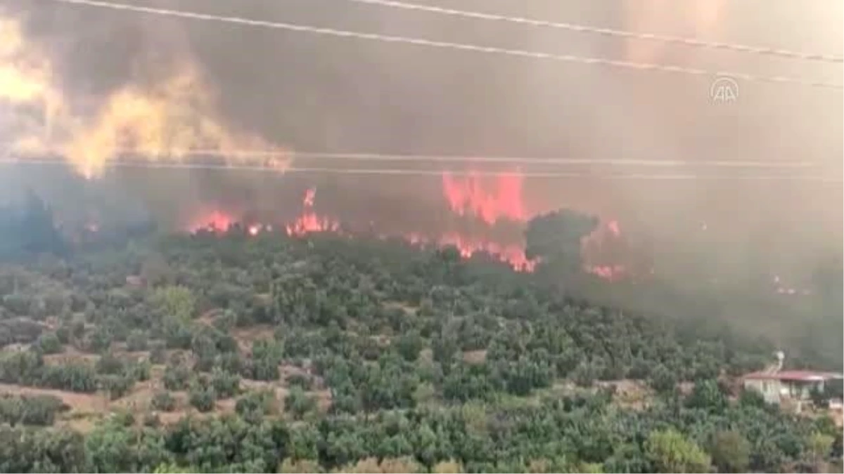 Mersin\'deki orman yangınına müdahale ediliyor