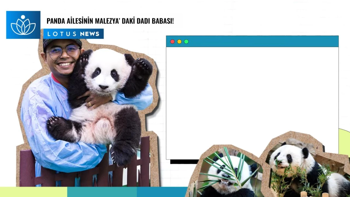 Video: Panda Ailesinin Malezya\'daki \'Dadı Babası\'