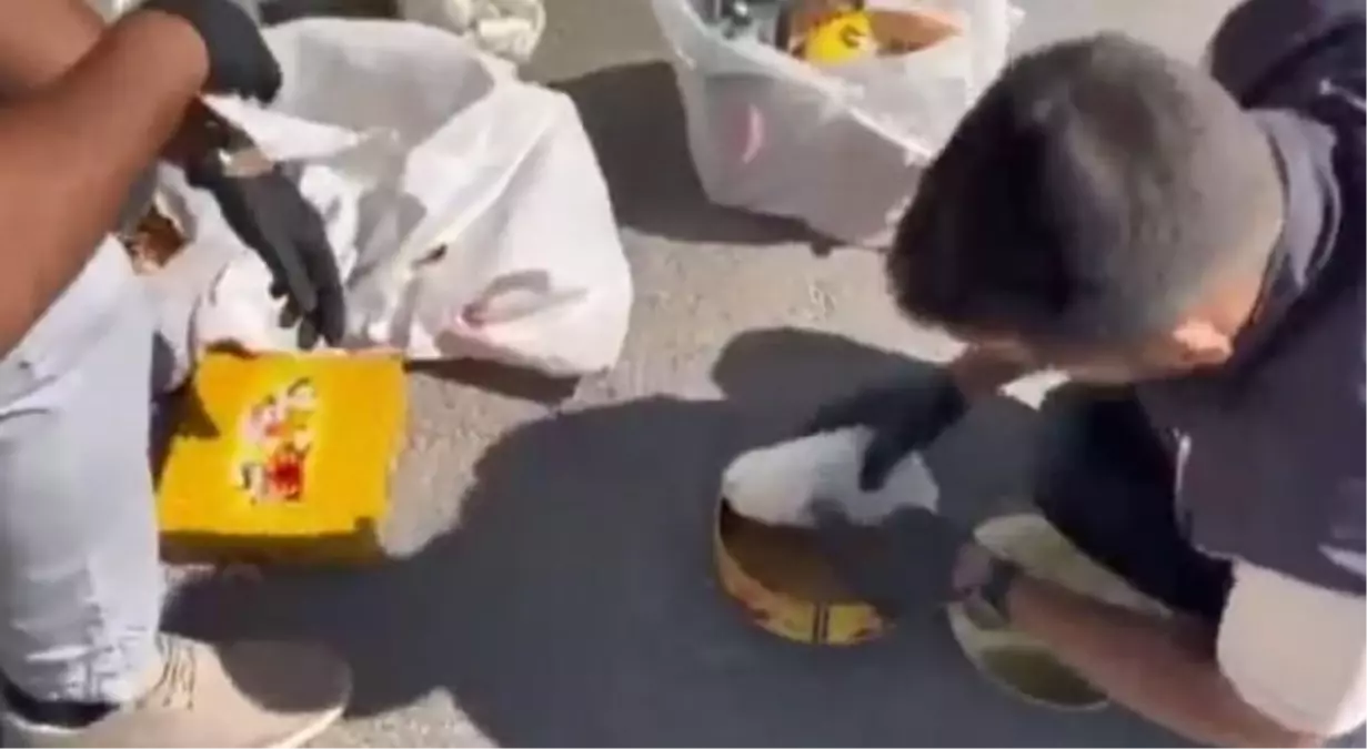 Bal paketlerinden 5 kilo uyuşturucu çıktı