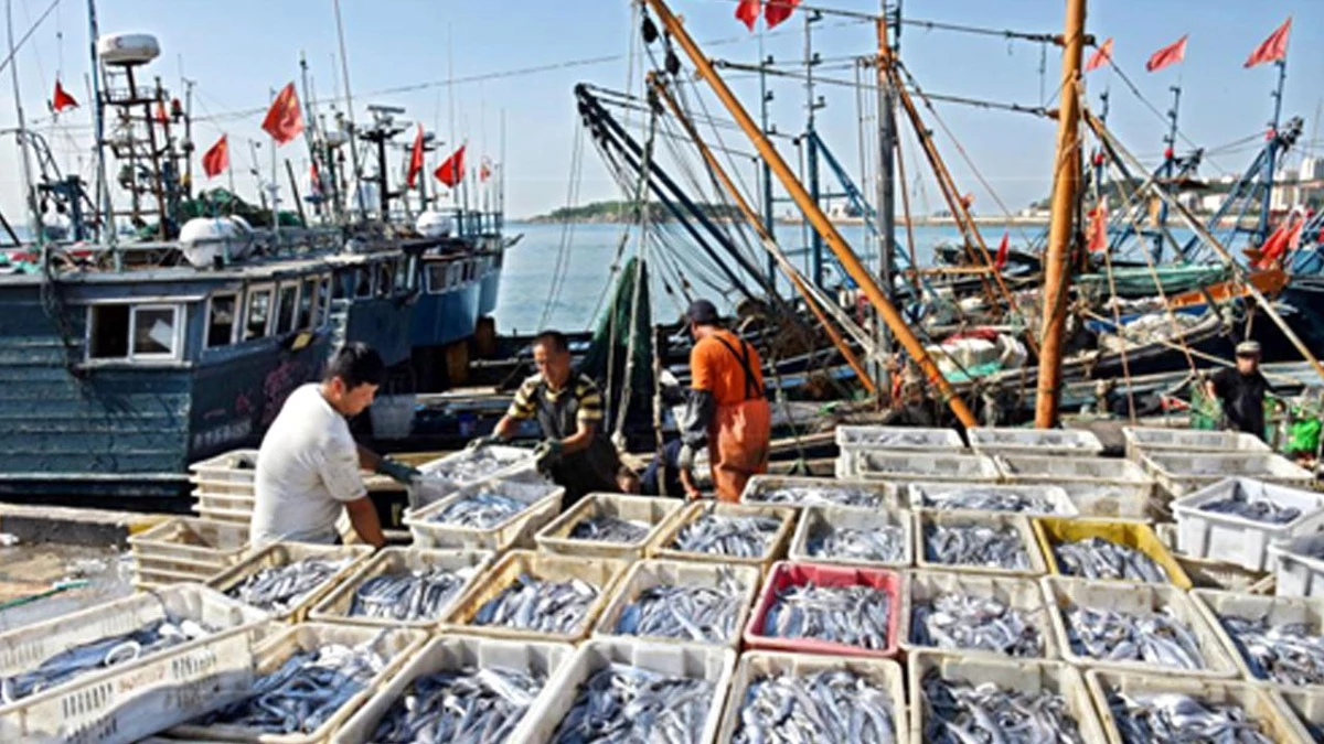 Çinli Balıkçılar İlk Avları ile Döndü