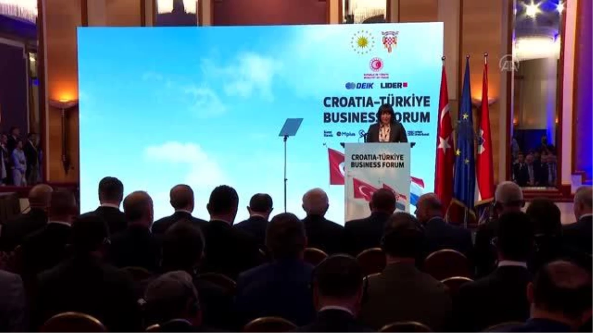 DEİK Başkanı Olpak: "Ticaret ve yatırım ilişkilerimizi geliştirmek için yeni fırsatlar yakalayacağız"