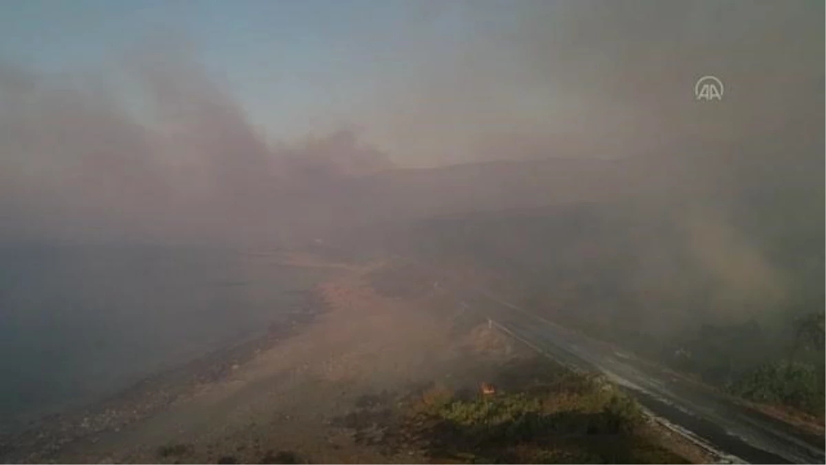 Mersin\'deki orman yangınına müdahale sürüyor