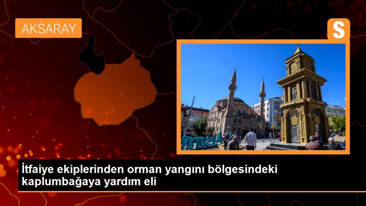 İtfaiye ekiplerinden orman yangını bölgesindeki kaplumbağaya yardım eli