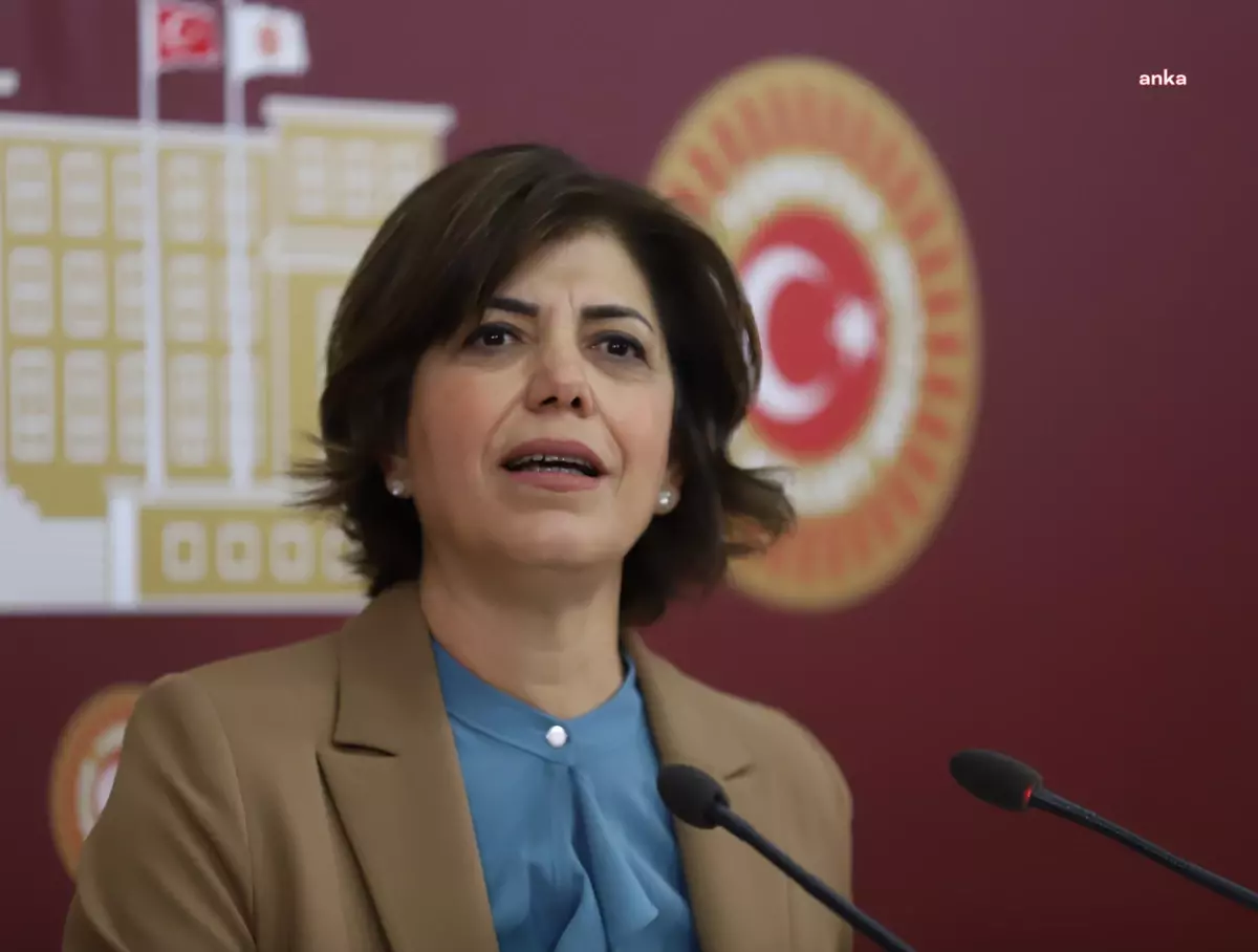 Meral Danış Beştaş Bakan Karaismailoğlu\'na Sordu: "Siirt Havaalanına Neden Uçuş Yapılmıyor?"