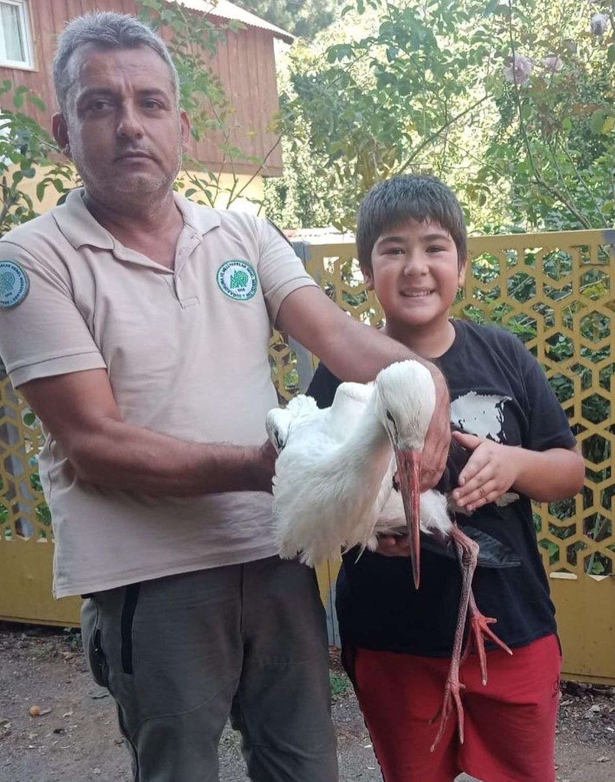 Osmaniye\'de yaralı leylek tedavisinin ardından doğaya bırakıldı