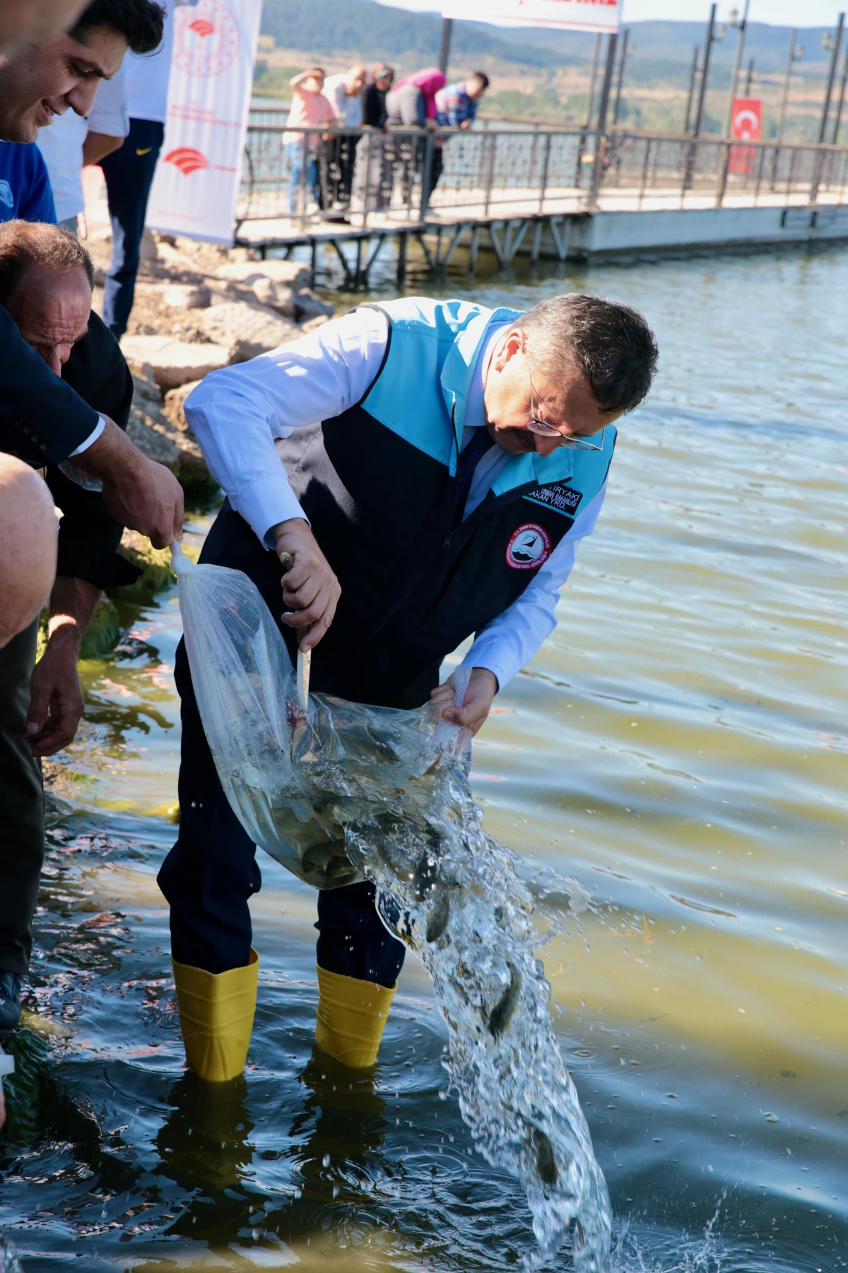 Bolu\'da Yeniçağa Gölü\'ne 350 bin balık yavrusu salındı