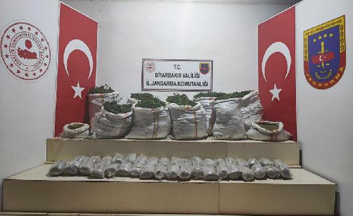Diyarbakır gündem haberleri... İçişleri: Diyarbakır\'da 1 milyon 439 bin kök kenevir ele geçirildi