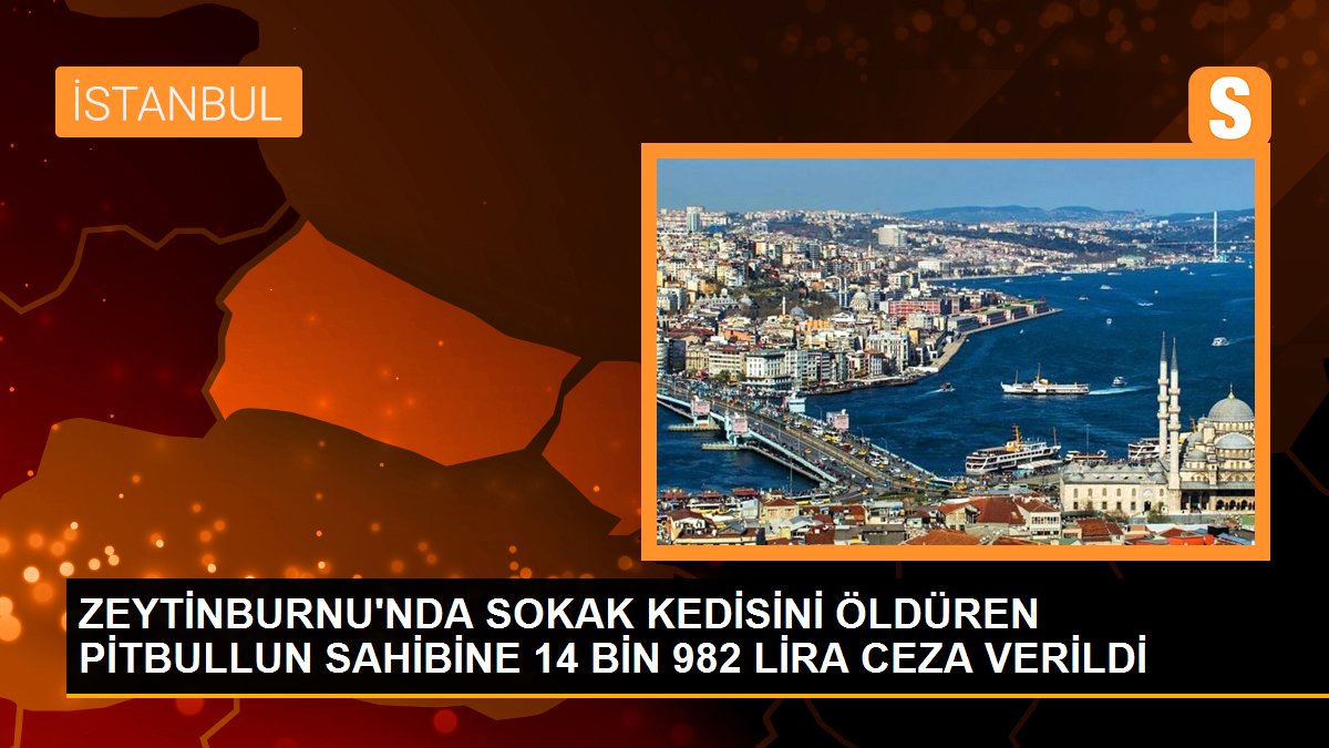 ZEYTİNBURNU\'NDA SOKAK KEDİSİNİ ÖLDÜREN PİTBULLUN SAHİBİNE 14 BİN 982 LİRA CEZA VERİLDİ
