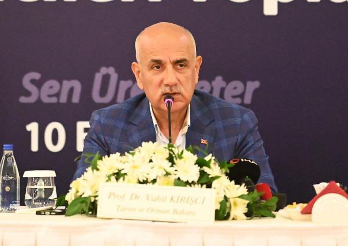 Bakan Kirişci, sıcak hava balonu ile uçtu (3)