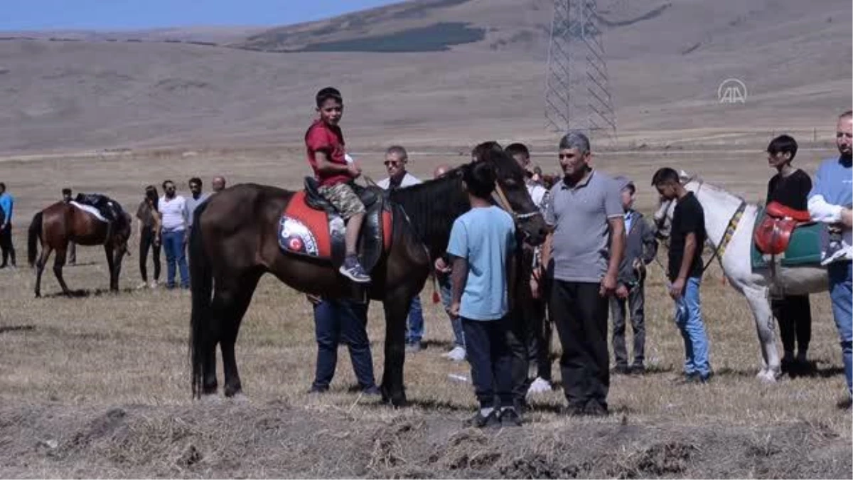 Ardahan\'da "8. Rahvan At Yarışları ve 6. Doğu Anadolu Şampiyonası" yapıldı