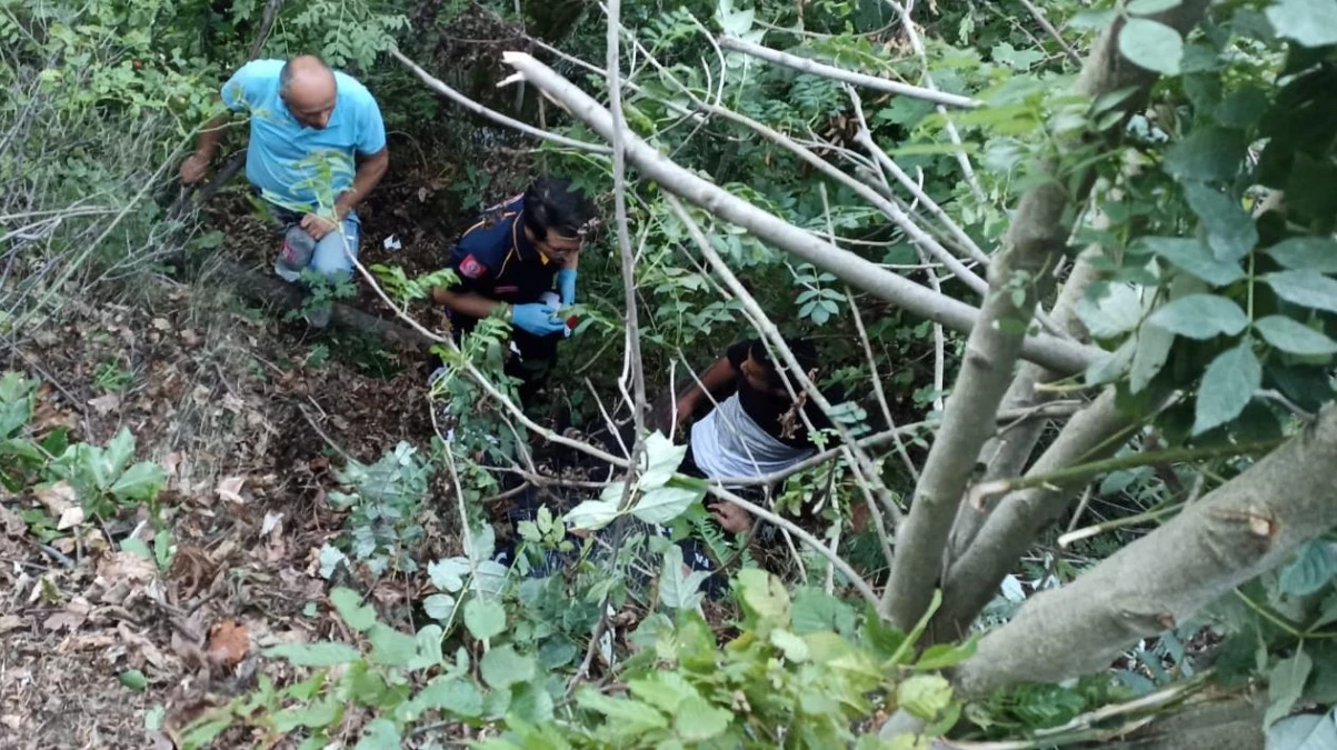 Bursa\'da ağaca takılan 2 paraşütçü kurtarıldı