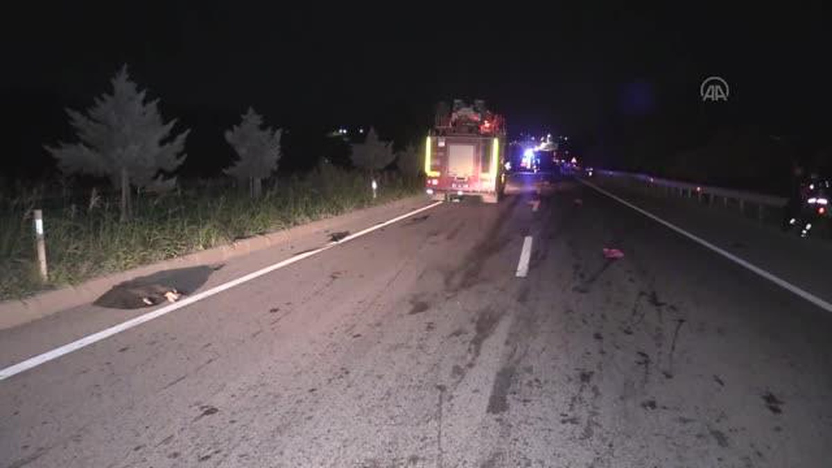 Çanakkale\'de otomobilin çarptığı kadın hayatını kaybetti