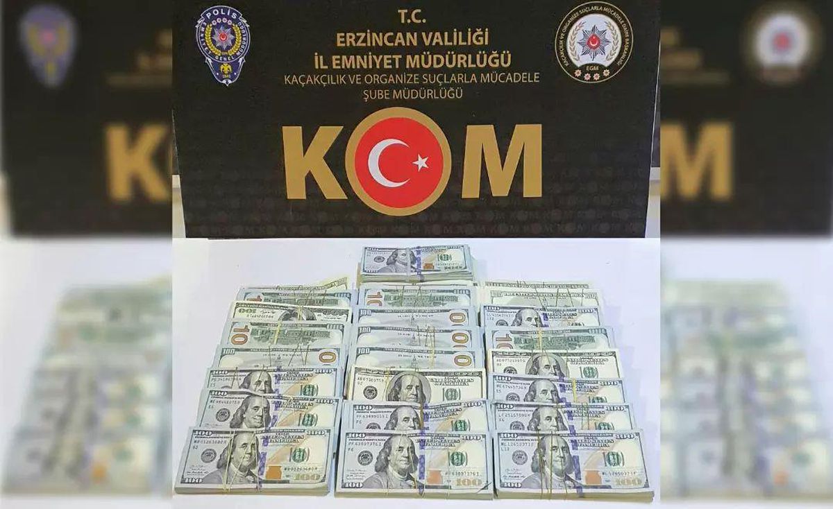 Iğdır\'da dolar gasbettiği öne sürülen şüpheli Erzincan\'da yakalandı